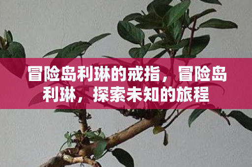 冒险岛利琳的戒指，冒险岛利琳，探索未知的旅程