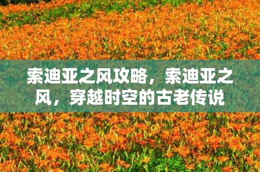 索迪亚之风攻略，索迪亚之风，穿越时空的古老传说