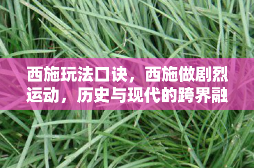 西施玩法口诀，西施做剧烈运动，历史与现代的跨界融合