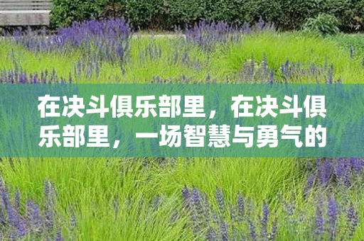 在决斗俱乐部里，在决斗俱乐部里，一场智慧与勇气的较量