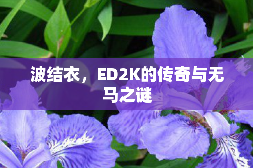 波结衣，ED2K的传奇与无马之谜