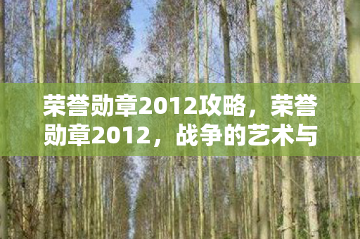 荣誉勋章2012攻略,荣誉勋章2012,战争的艺术与人性光辉 荣誉勋章2012攻略,荣誉勋章2012,战争的艺术与人性光辉
