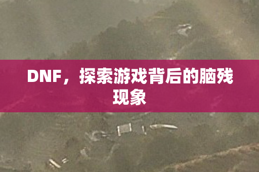 DNF，探索游戏背后的脑残现象