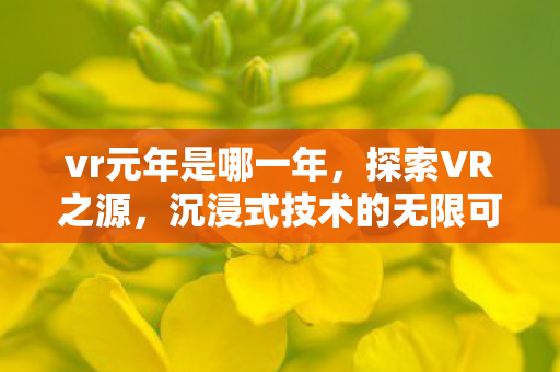 vr元年是哪一年，探索VR之源，沉浸式技术的无限可能