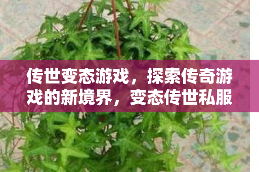 传世变态游戏，探索传奇游戏的新境界，变态传世私服体验