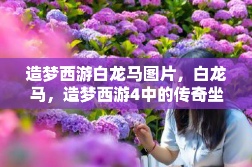 造梦西游白龙马图片，白龙马，造梦西游4中的传奇坐骑