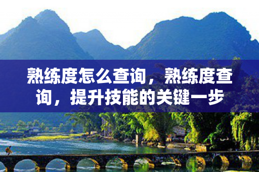 熟练度怎么查询，熟练度查询，提升技能的关键一步