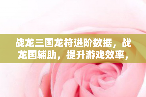 战龙三国龙符进阶数据,战龙国辅助,提升游戏效率,还是破坏游戏平衡? 战龙三国龙符进阶数据,战龙国辅助,提升游戏效率,还是破坏游戏平衡?