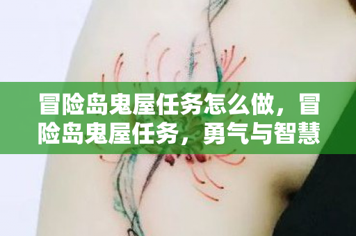 冒险岛鬼屋任务怎么做，冒险岛鬼屋任务，勇气与智慧的双重考验