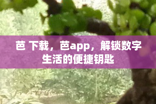芭 下载，芭app，解锁数字生活的便捷钥匙