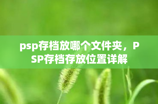 psp存档放哪个文件夹,PSP存档存放位置详解 psp存档放哪个文件夹,PSP存档存放位置详解