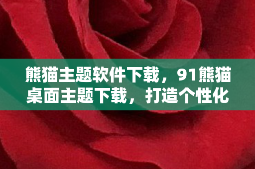 熊猫主题软件下载，91熊猫桌面主题下载，打造个性化手机界面的新选择