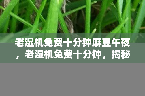 老湿机免费十分钟麻豆午夜,老湿机免费十分钟,揭秘短视频时代的灰色地带 老湿机免费十分钟麻豆午夜,老湿机免费十分钟,揭秘短视频时代的灰色地带