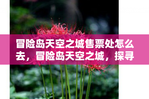 冒险岛天空之城售票处怎么去，冒险岛天空之城，探寻梦幻之地的神秘之旅