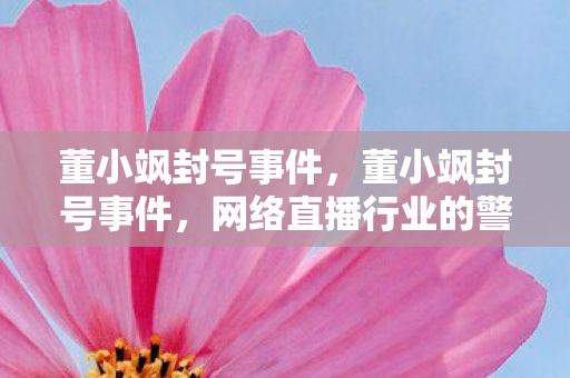 董小飒封号事件,董小飒封号事件,网络直播行业的警钟 董小飒封号事件,董小飒封号事件,网络直播行业的警钟