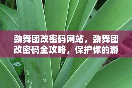劲舞团改密码网站,劲舞团改密码全攻略,保护你的游戏账号安全 劲舞团改密码网站,劲舞团改密码全攻略,保护你的游戏账号安全