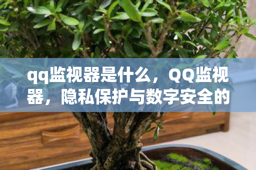 qq监视器是什么,QQ监视器,隐私保护与数字安全的双刃剑 qq监视器是什么,QQ监视器,隐私保护与数字安全的双刃剑