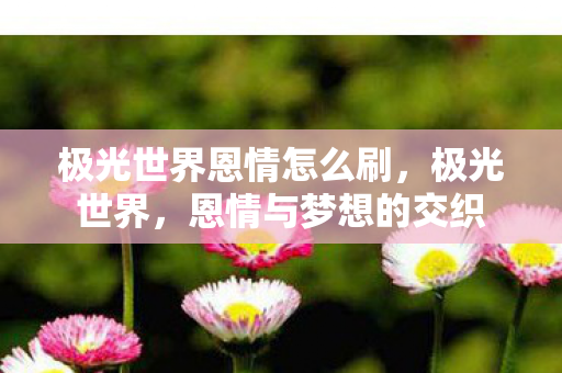 极光世界恩情怎么刷,极光世界,恩情与梦想的交织 极光世界恩情怎么刷,极光世界,恩情与梦想的交织