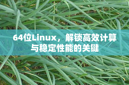 64位Linux,解锁高效计算与稳定性能的关键 64位Linux,解锁高效计算与稳定性能的关键
