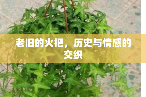 老旧的火把，历史与情感的交织