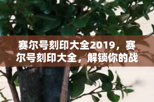 赛尔号刻印大全2019，赛尔号刻印大全，解锁你的战斗潜能