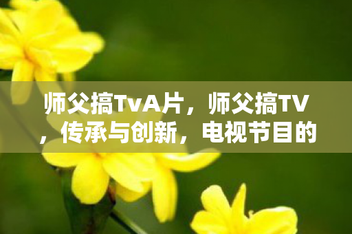 师父搞TvA片，师父搞TV，传承与创新，电视节目的新篇章