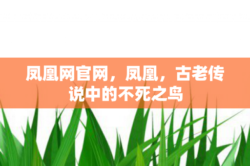 凤凰网官网，凤凰，古老传说中的不死之鸟