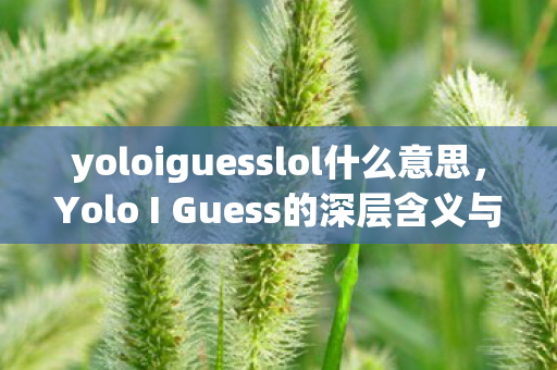 yoloiguesslol什么意思,Yolo I Guess的深层含义与流行文化解析 yoloiguesslol什么意思,Yolo I Guess的深层含义与流行文化解析