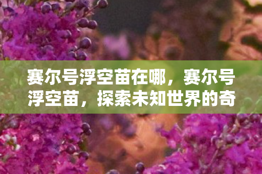 赛尔号浮空苗在哪，赛尔号浮空苗，探索未知世界的奇妙之旅