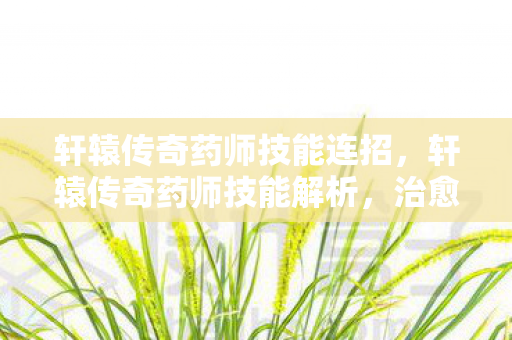 轩辕传奇药师技能连招，轩辕传奇药师技能解析，治愈与增益的完美结合