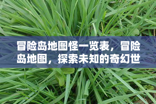 冒险岛地图怪一览表，冒险岛地图，探索未知的奇幻世界