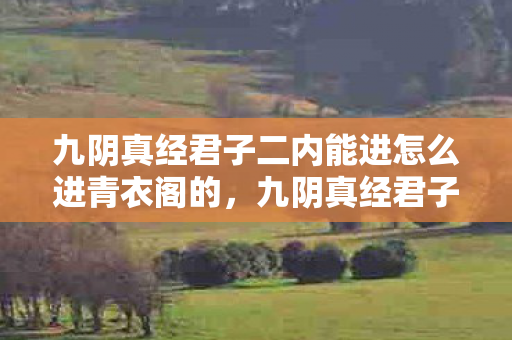 九阴真经君子二内能进怎么进青衣阁的，九阴真经君子二内，探寻武侠世界的内功奥秘