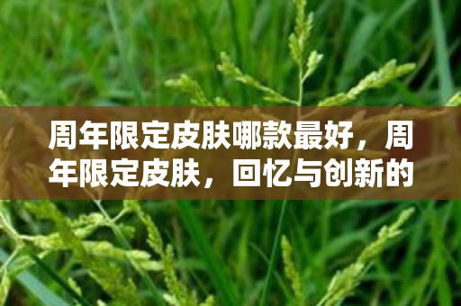 周年限定皮肤哪款最好,周年限定皮肤,回忆与创新的碰撞 周年限定皮肤哪款最好,周年限定皮肤,回忆与创新的碰撞