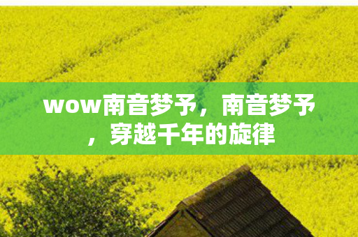 wow南音梦予,南音梦予,穿越千年的旋律 wow南音梦予,南音梦予,穿越千年的旋律