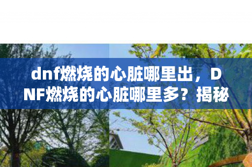dnf燃烧的心脏哪里出，DNF燃烧的心脏哪里多？揭秘地下城与勇士中的神秘掉落