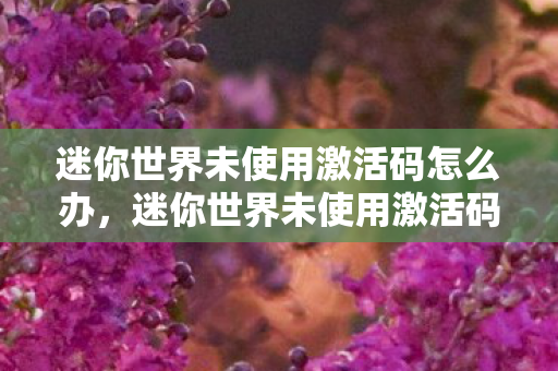 迷你世界未使用激活码怎么办，迷你世界未使用激活码，探索与创造的无限可能
