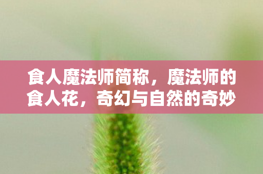 食人魔法师简称,魔法师的食人花,奇幻与自然的奇妙融合 食人魔法师简称,魔法师的食人花,奇幻与自然的奇妙融合