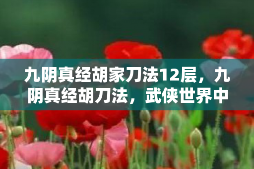 九阴真经胡家刀法12层,九阴真经胡刀法,武侠世界中的绝世刀法 九阴真经胡家刀法12层,九阴真经胡刀法,武侠世界中的绝世刀法