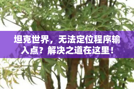 坦克世界,无法定位程序输入点?解决之道在这里! 坦克世界,无法定位程序输入点?解决之道在这里!