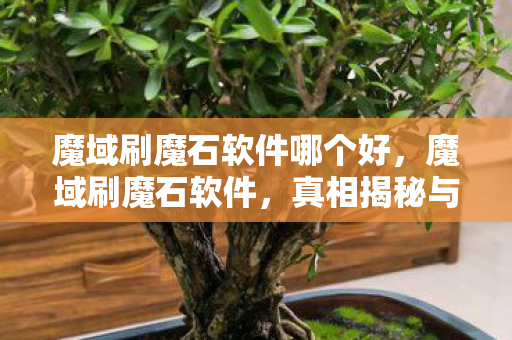 魔域刷魔石软件哪个好,魔域刷魔石软件,真相揭秘与合法建议 魔域刷魔石软件哪个好,魔域刷魔石软件,真相揭秘与合法建议