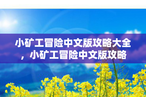 小矿工冒险中文版攻略大全,小矿工冒险中文版攻略 小矿工冒险中文版攻略大全,小矿工冒险中文版攻略