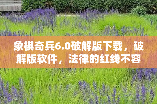 象棋奇兵6.0破解版下载,破解版软件,法律的红线不容触碰 象棋奇兵6.0破解版下载,破解版软件,法律的红线不容触碰