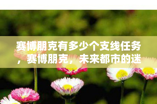 赛博朋克有多少个支线任务，赛博朋克，未来都市的迷离梦境