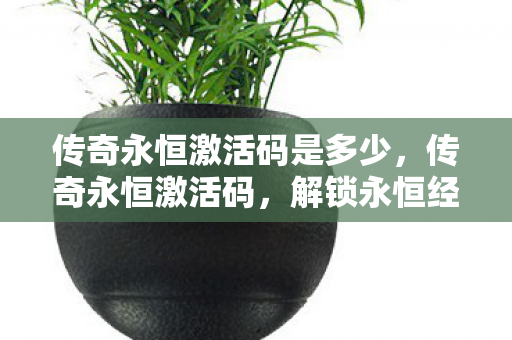 传奇永恒激活码是多少，传奇永恒激活码，解锁永恒经典的神秘钥匙