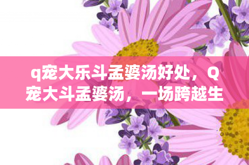 q宠大乐斗孟婆汤好处,Q宠大斗孟婆汤,一场跨越生死的奇幻冒险 q宠大乐斗孟婆汤好处,Q宠大斗孟婆汤,一场跨越生死的奇幻冒险
