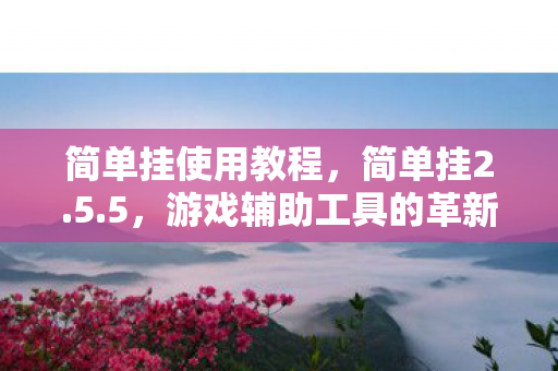 简单挂使用教程,简单挂2.5.5,游戏辅助工具的革新与争议 简单挂使用教程,简单挂2.5.5,游戏辅助工具的革新与争议