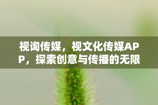 视询传媒,视文化传媒APP,探索创意与传播的无限可能 视询传媒,视文化传媒APP,探索创意与传播的无限可能