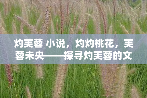 灼芙蓉 小说,灼灼桃花,芙蓉未央——探寻灼芙蓉的文学魅力 灼芙蓉 小说,灼灼桃花,芙蓉未央——探寻灼芙蓉的文学魅力