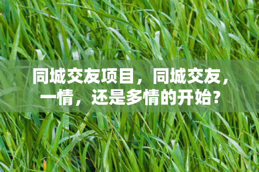 同城交友项目，同城交友，一情，还是多情的开始？