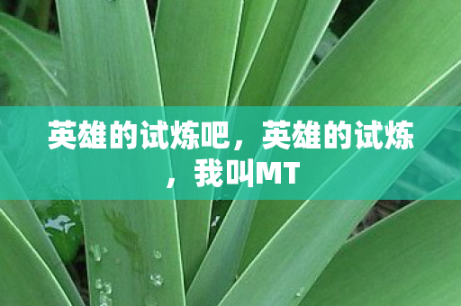 英雄的试炼吧，英雄的试炼，我叫MT